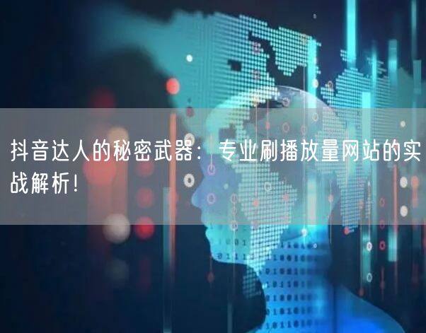 抖音达人的秘密武器：专业刷播放量网站的实战解析！