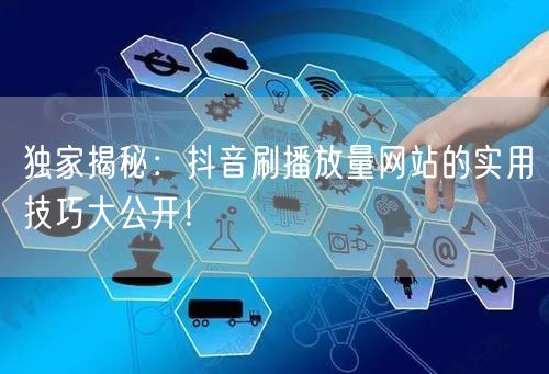 独家揭秘：抖音刷播放量网站的实用技巧大公开！