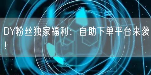 DY粉丝独家福利：自助下单平台来袭！